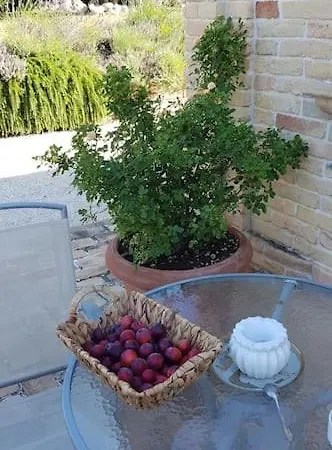 Elegant And Cosy Country Villa With Large Garden Villa Citta Sant'Angelo