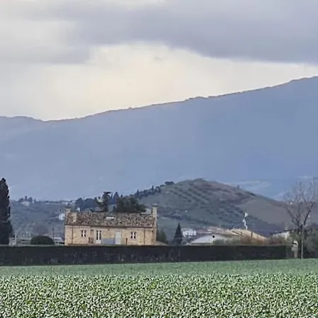 Elegant And Cosy Country Villa With Large Garden * Città Sant'Angelo